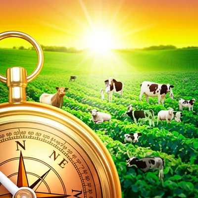 Illustration fortunes