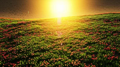 Illustration enriched - Image 1