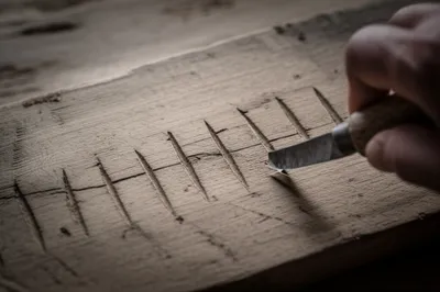 Illustration notches - Image 1