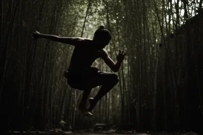 Illustration ninja - Image 1