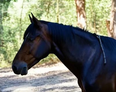 Illustration breathe - Image 1