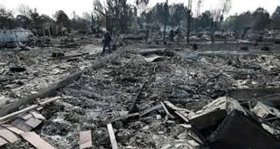 Illustration exterminate - Image 2