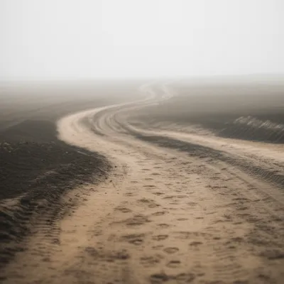 Illustration walks - Image 1