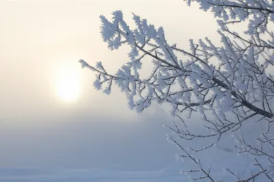 Illustration rimes - Image 1