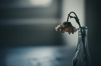 Illustration depressants