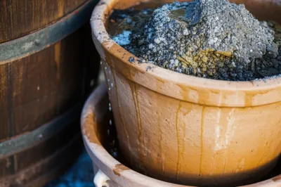 Illustration lye - Image 1