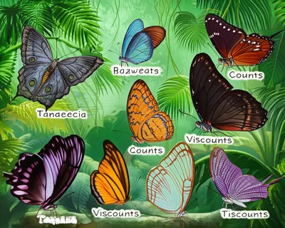 Illustration earls - Image 1