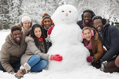 Illustration muffs - Image 1