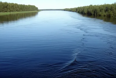 Illustration bifurcated