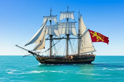 Illustration flag - Image 1