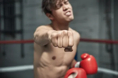 Illustration chinned - Image 1