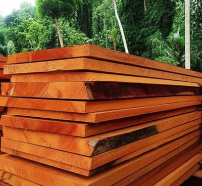 Hình ảnh minh họa asana - Ảnh 1