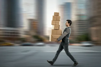 Illustration bundles - Image 1