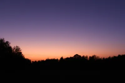 Illustration dusk - Image 1