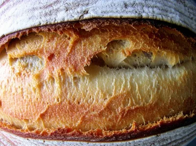 Illustration crust - Image 1