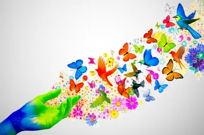 Illustration animator - Image 2