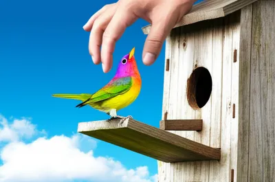 Illustration raising - Image 1