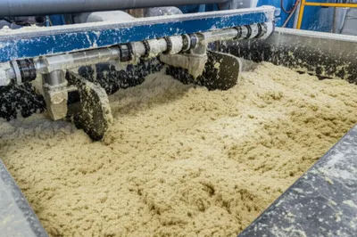 Illustration beaters - Image 1