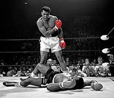 Illustration knockout - Image 2