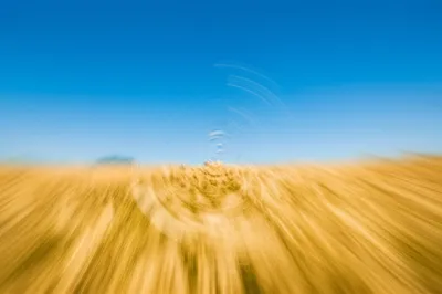 Illustration windmills - Image 1