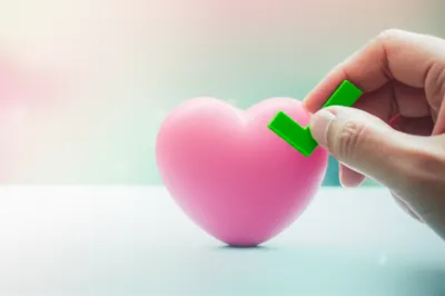 Illustration ticks - Image 1