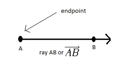 Illustration end - Image 4