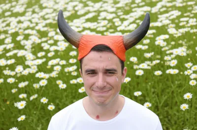 Illustration bull - Image 1