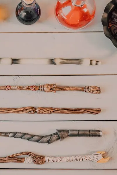 Illustration varieties - Image 2