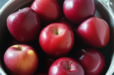 Illustration matte - Image 1