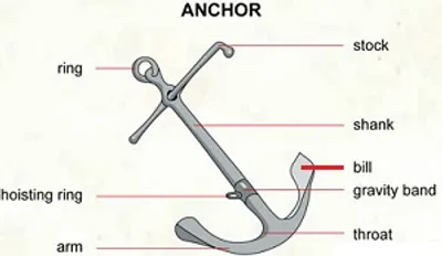 Illustration bill - Image 2