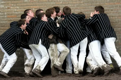 Illustration shies - Image 1