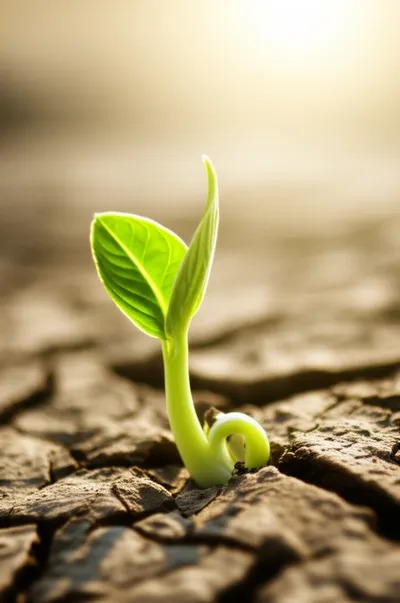 Illustration recuperated