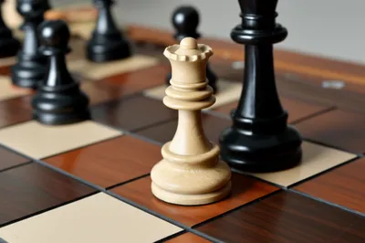 Illustration blunder - Image 1