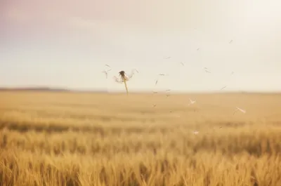 Illustration floating - Image 1