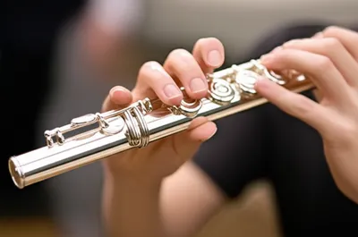 Illustration fluting