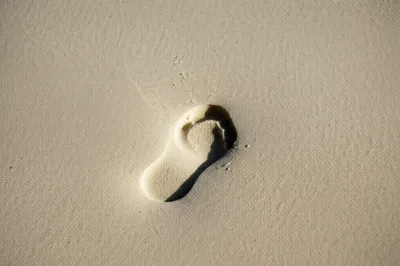 Illustration indentation - Image 1