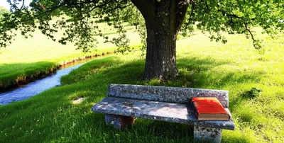 Illustration lay - Image 1