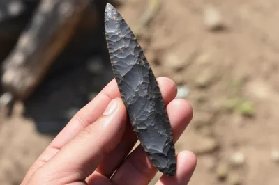 Illustration blades - Image 1