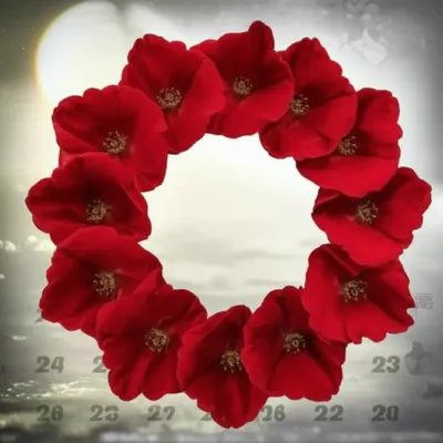 Illustration courses - Image 1