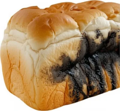 Illustration leaven - Image 1