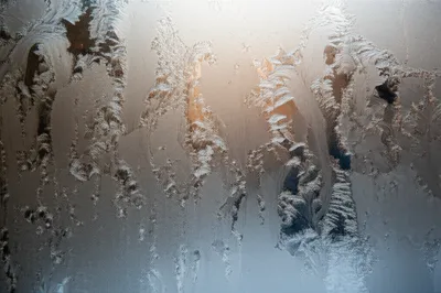 Illustration fretted - Image 1