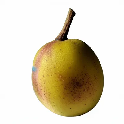 Illustration set - Image 1