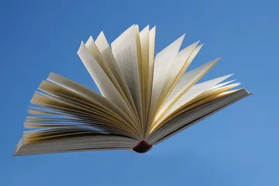 Illustration readout - Image 2