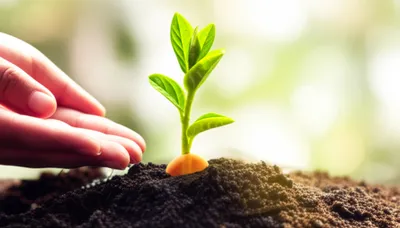 Illustration foster - Image 1