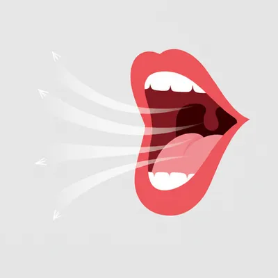 Illustration articulation - Image 1