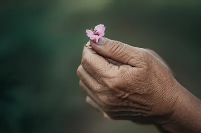 Illustration passible