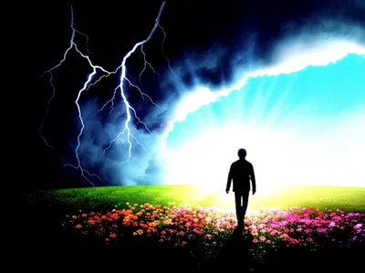 Illustration turnaround - Image 1