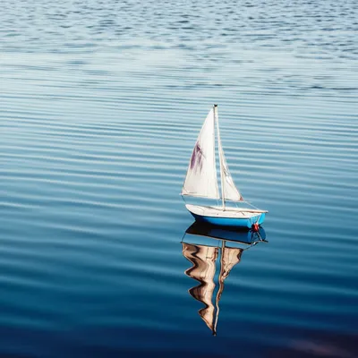 Illustration shallow - Image 1