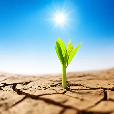 Illustration persist - Image 1