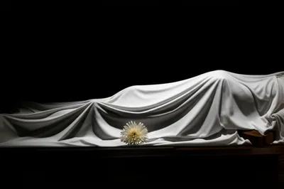 Illustration corpse - Image 1